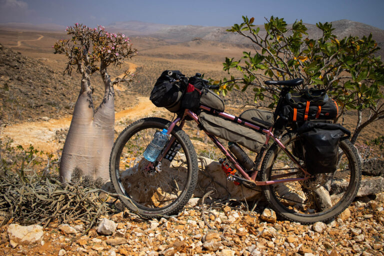 Top Must-Do Activities and Adventures During Your Vacation in Socotra Island